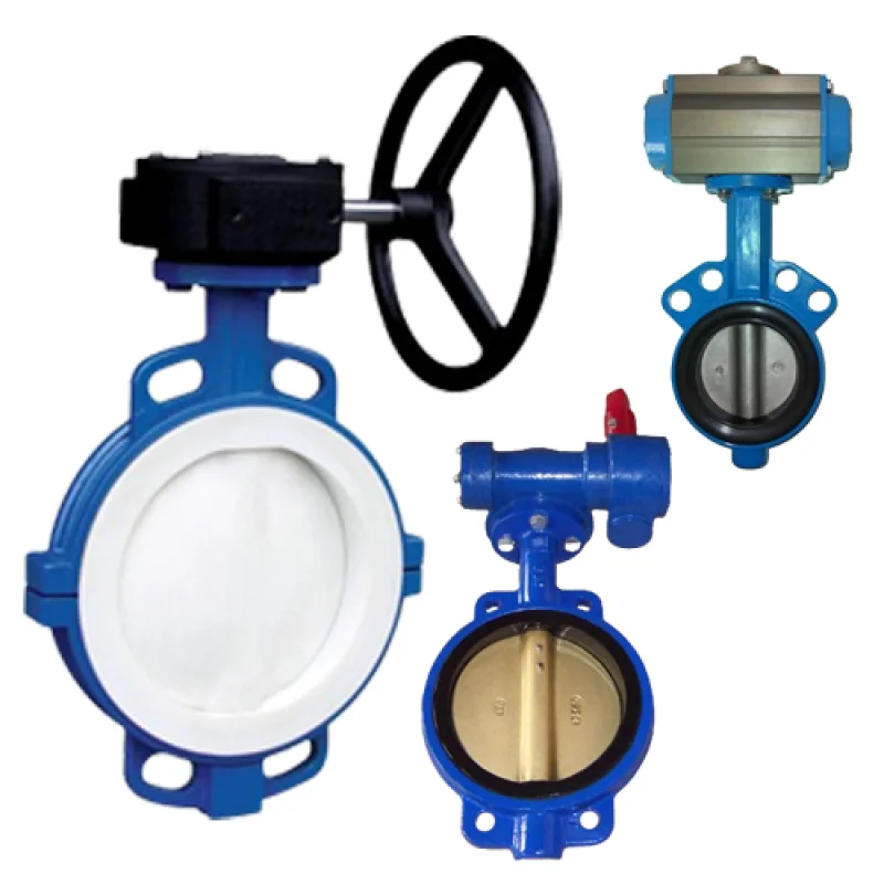Cast Iron Butterfly Valve