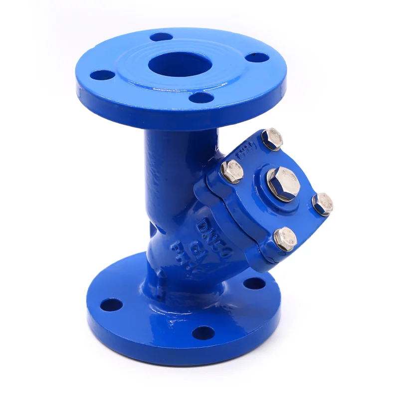 check valve cast iron