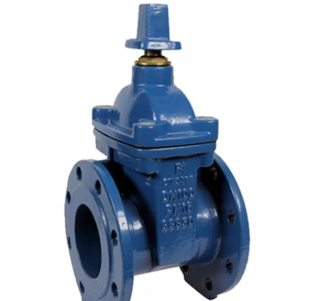 nrs gate valve
