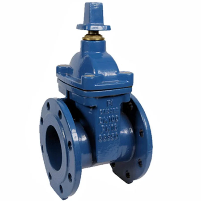 nrs gate valve