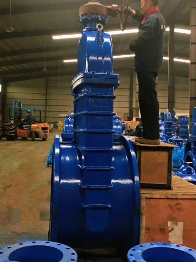 High Quality Ductile Iron Gate Valves