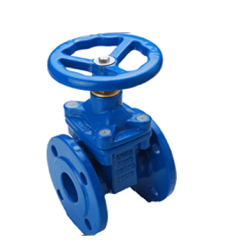 gray iron gate valve