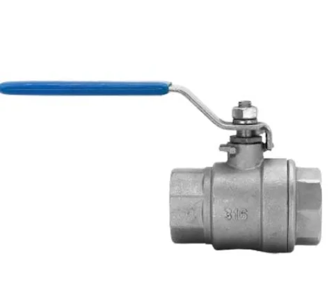 316 ss valve