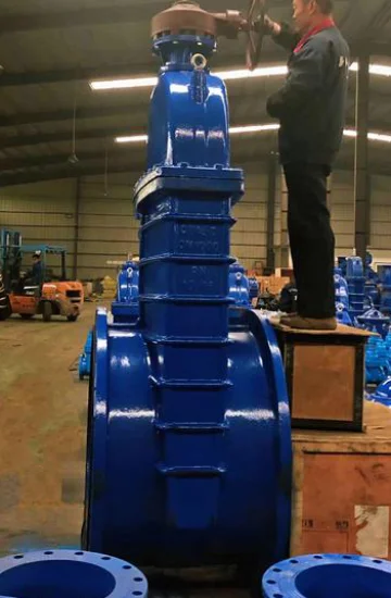 Higher Quality DIN 3325 NRS Gate Valve