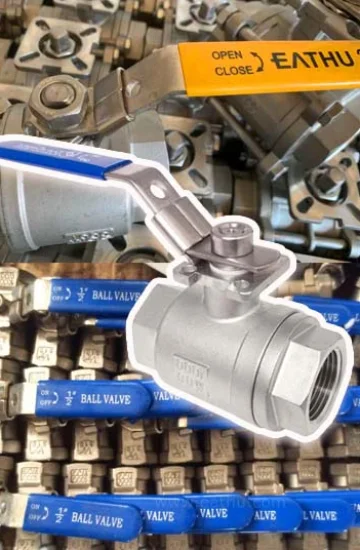 Higher Quality SS 2PC Ball Valve