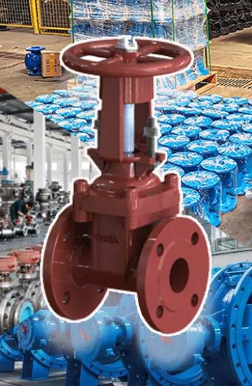 Higher Quality AWWA C509 Gate Valve