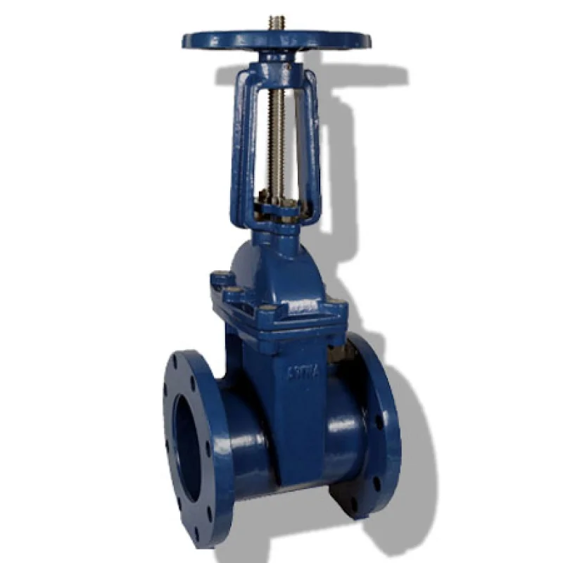 2 os&y gate valve