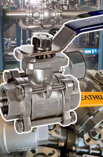 Higher Quality SS 3PC Ball Valve