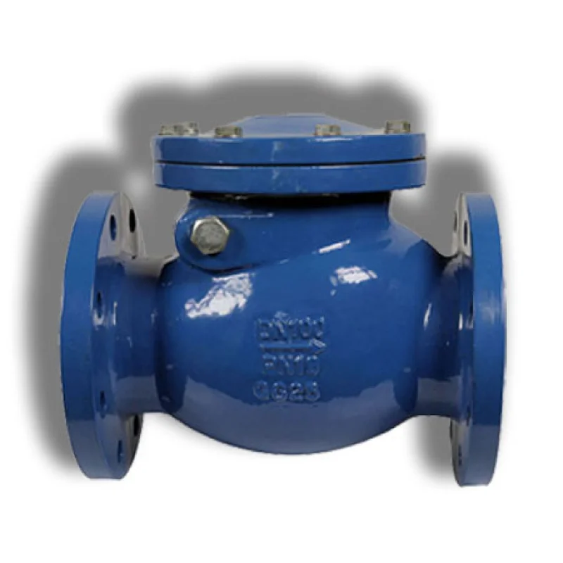flanged Swing Check Valve