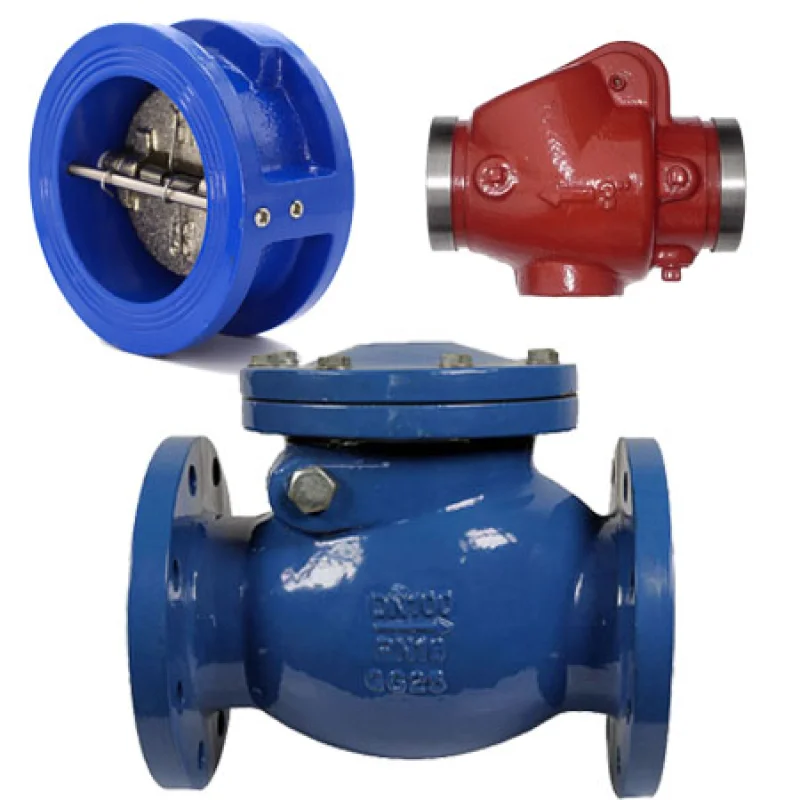 Swing Check Valve