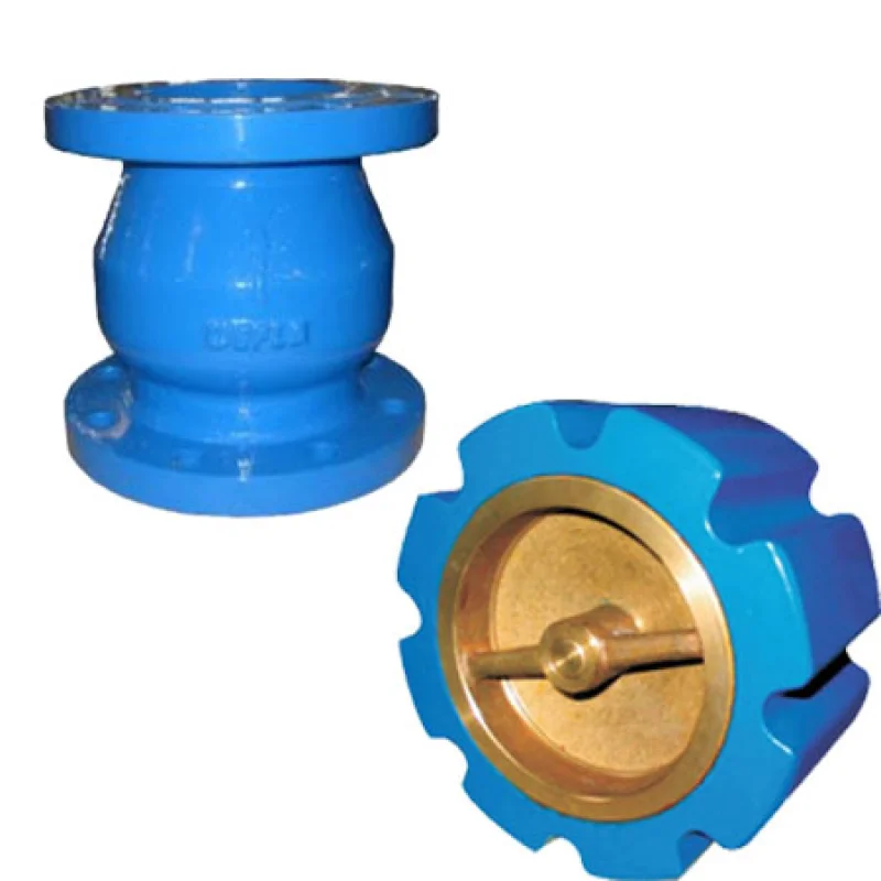 Silent Check Valve