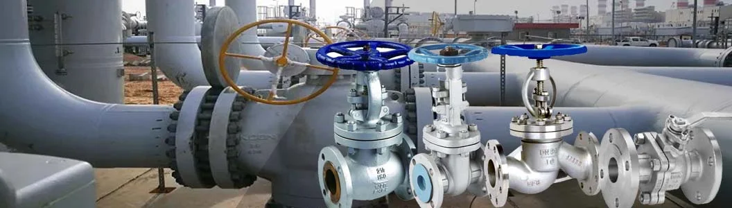 Provide ASME Standard Stainless Steel Ball Valves