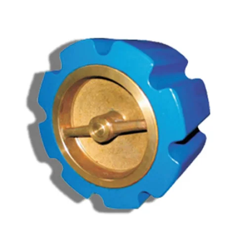 Cast Iron Wafer Silent Check Valve