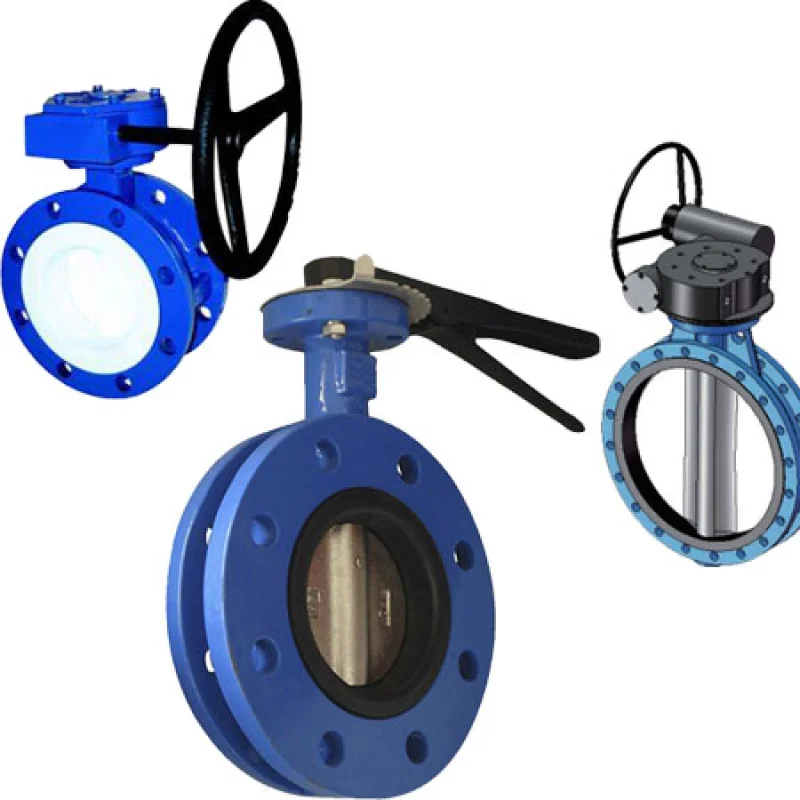 EN593 U type Butterfly Valve