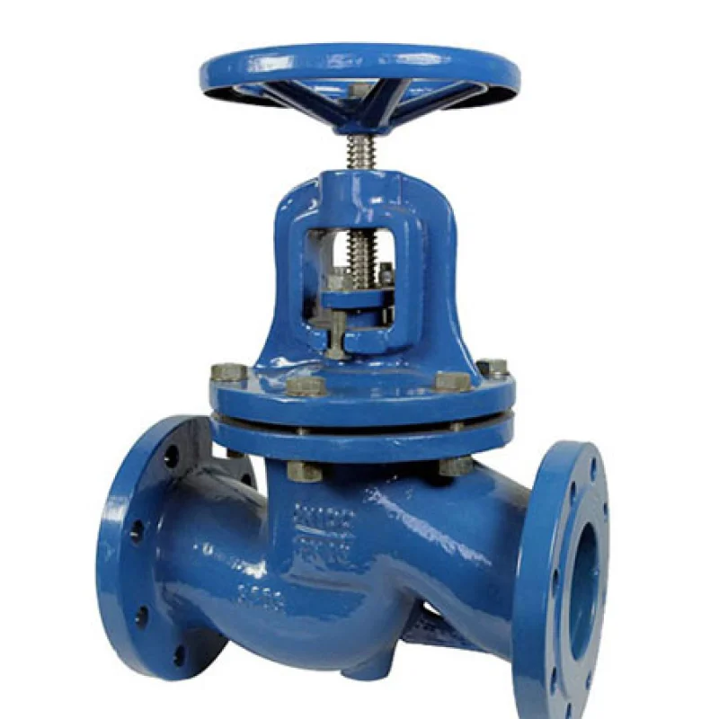 BS5152 Cast Iron Globe Valve