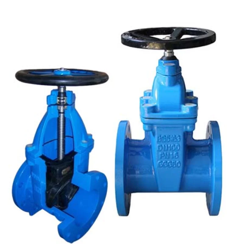 BS5163 Flanged Gate Valve