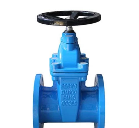 BS5163 Resilient Seated Flanged Gate Valve