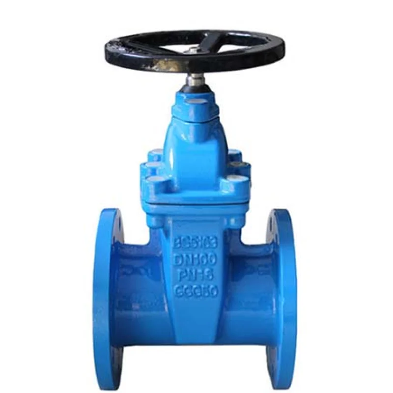 BS5163 Resilient Seated Flanged Gate Valve