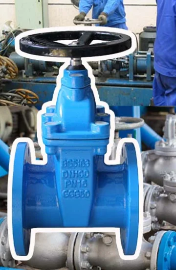 High Quality BS5163 Cast Iron Flanged End Gate Valve