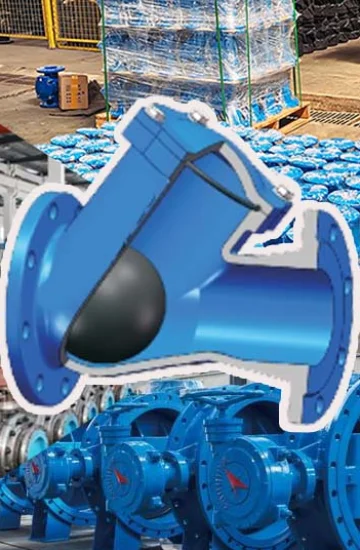 Check Valves