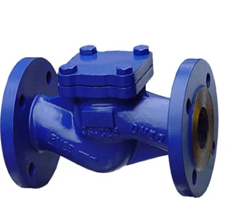 Lift Check Valves