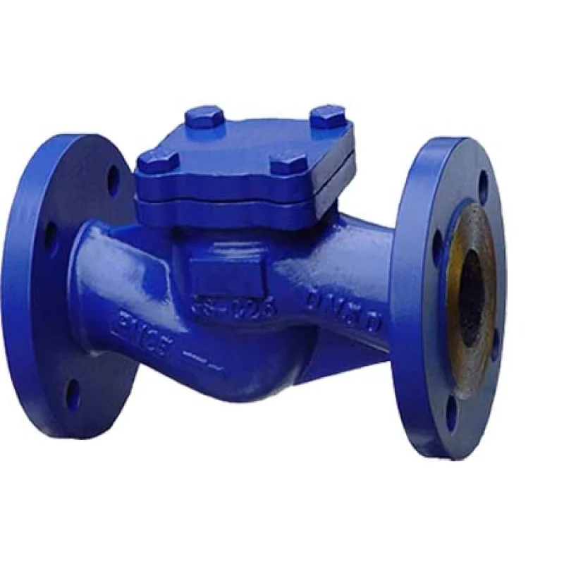 Lift Check Valves