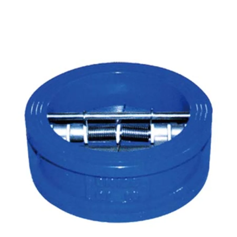 Cast Iron Dual Plate Check Valves