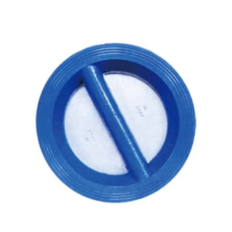 Dual Plate Check Valve