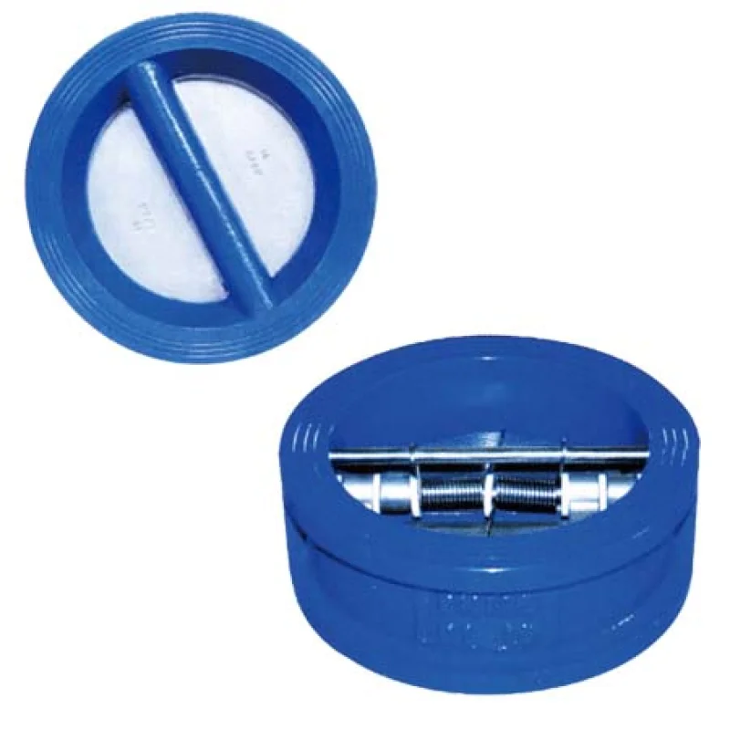 Cast Iron Dual Plate Check Valve