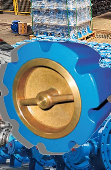 Choose EATHU Check Valve Manufacturer
