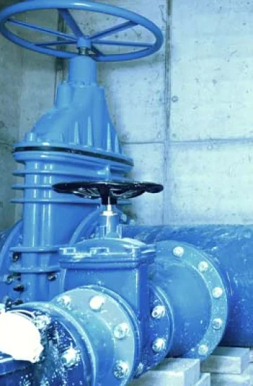 Higher Quality Carbon Steel Y Globe Valve