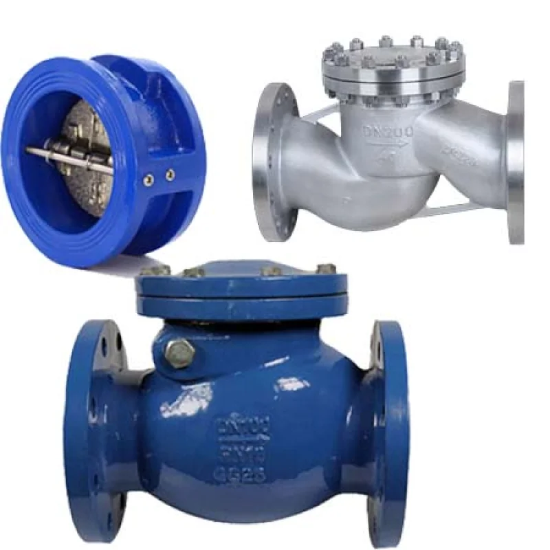 Check Non Return Valve