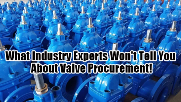Save Money: Things You Must Know Before Purchasing Valves!